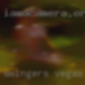 Swingers Vegas fucking